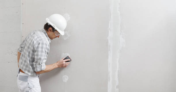 Mold Removal